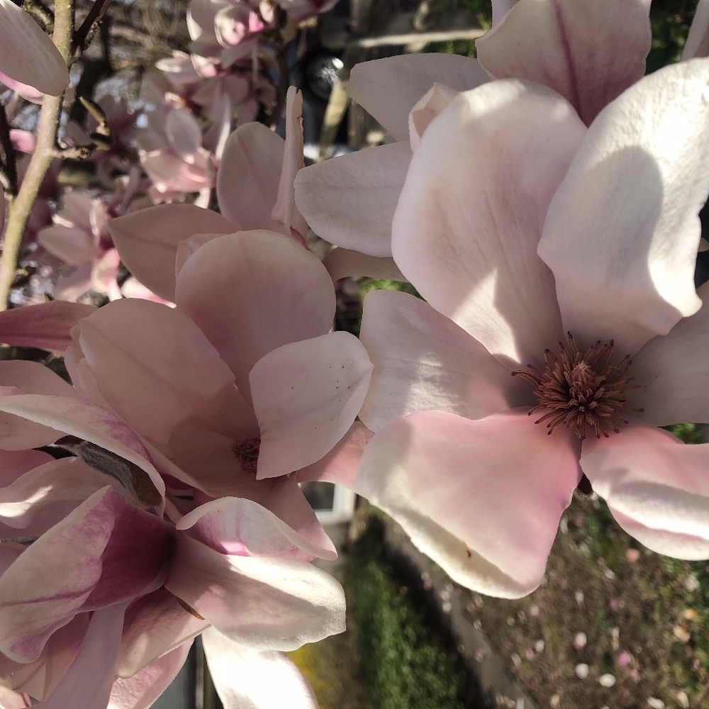 Meet your Posher, Kate